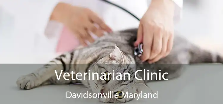 Veterinarian Clinic Davidsonville Maryland