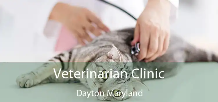 Veterinarian Clinic Dayton Maryland