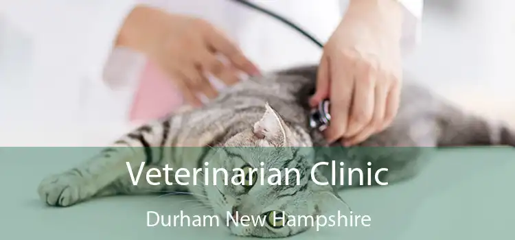 Veterinarian Clinic Durham New Hampshire