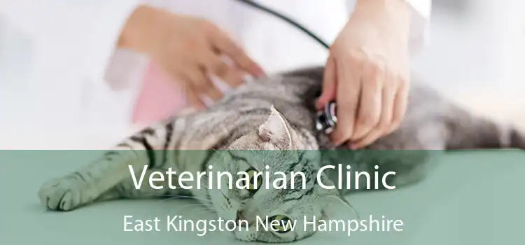 Veterinarian Clinic East Kingston New Hampshire