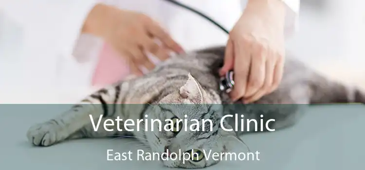 Veterinarian Clinic East Randolph Vermont