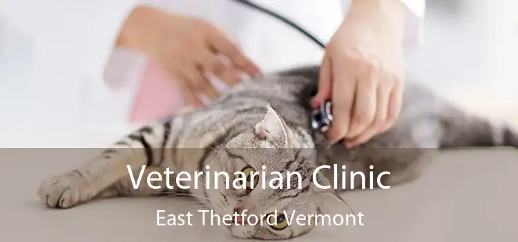 Veterinarian Clinic East Thetford Vermont