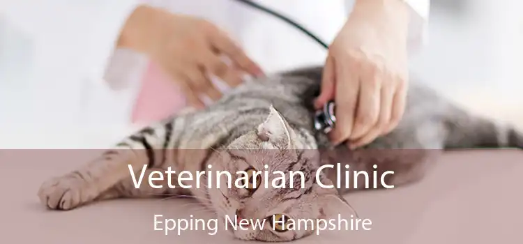 Veterinarian Clinic Epping New Hampshire