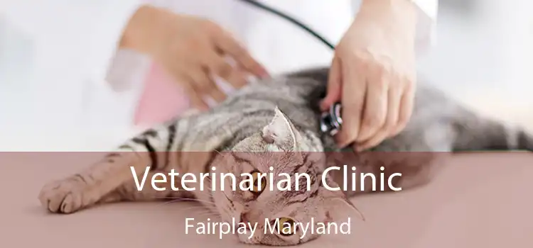 Veterinarian Clinic Fairplay Maryland