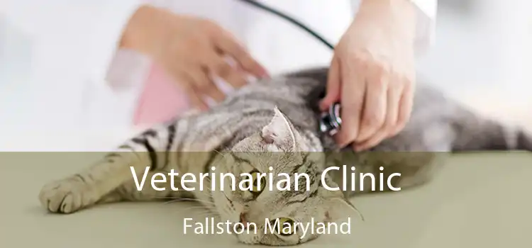 Veterinarian Clinic Fallston Maryland