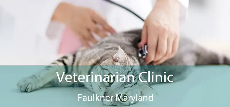 Veterinarian Clinic Faulkner Maryland