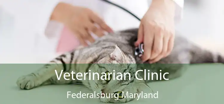 Veterinarian Clinic Federalsburg Maryland