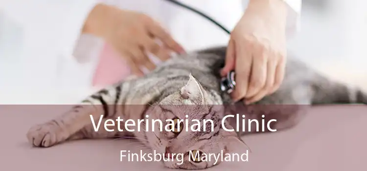 Veterinarian Clinic Finksburg Maryland