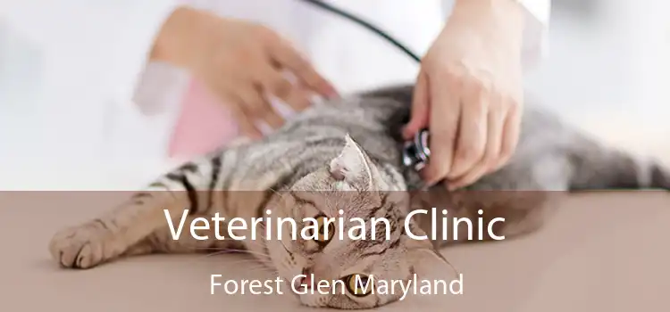 Veterinarian Clinic Forest Glen Maryland