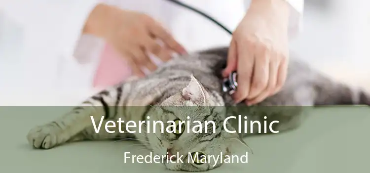 Veterinarian Clinic Frederick Maryland