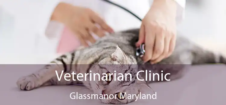 Veterinarian Clinic Glassmanor Maryland