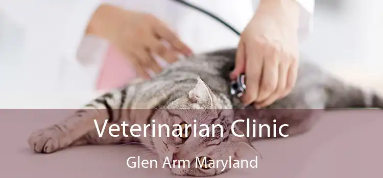 Veterinarian Clinic Glen Arm Maryland