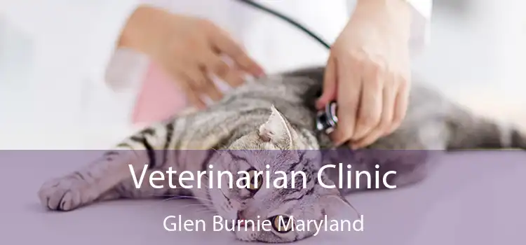 Veterinarian Clinic Glen Burnie Maryland