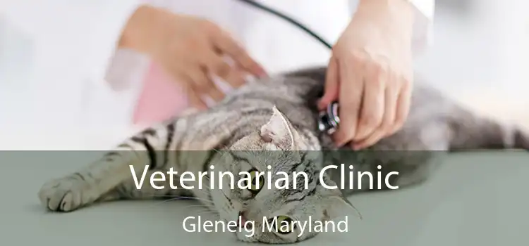 Veterinarian Clinic Glenelg Maryland