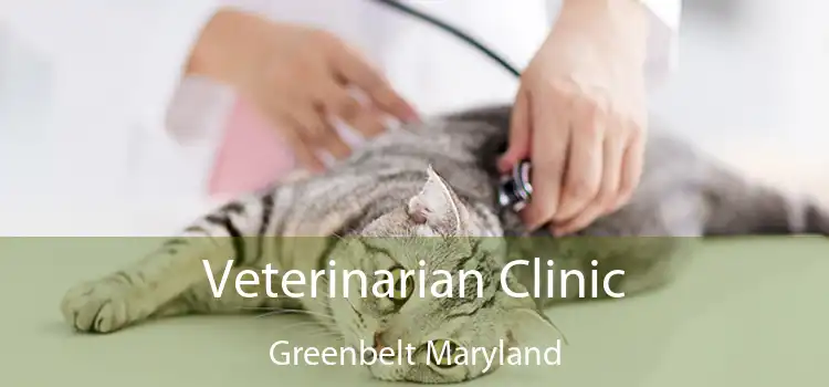 Veterinarian Clinic Greenbelt Maryland