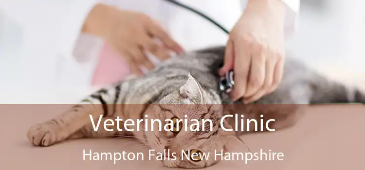 Veterinarian Clinic Hampton Falls New Hampshire