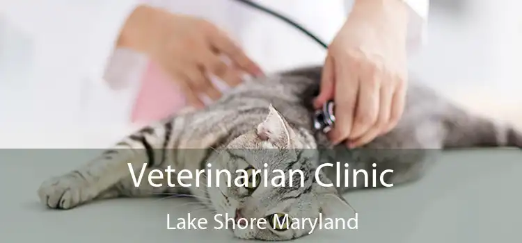 Veterinarian Clinic Lake Shore Maryland