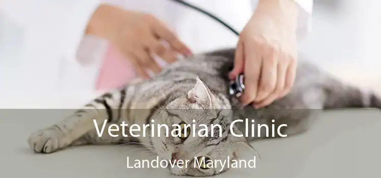 Veterinarian Clinic Landover Maryland