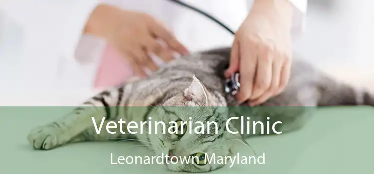 Veterinarian Clinic Leonardtown Maryland