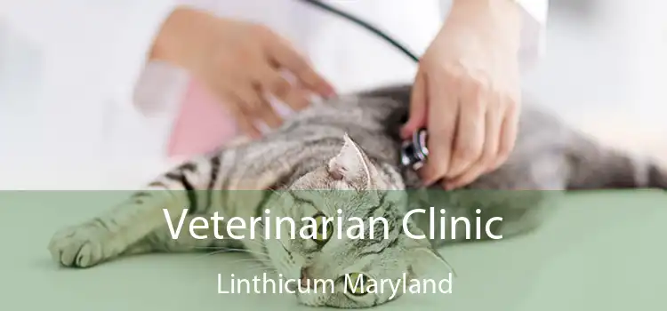 Veterinarian Clinic Linthicum Maryland