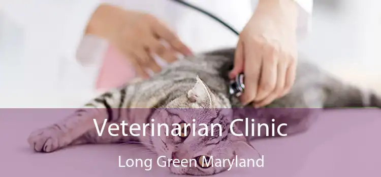 Veterinarian Clinic Long Green Maryland