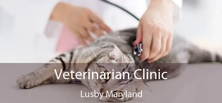 Veterinarian Clinic Lusby Maryland