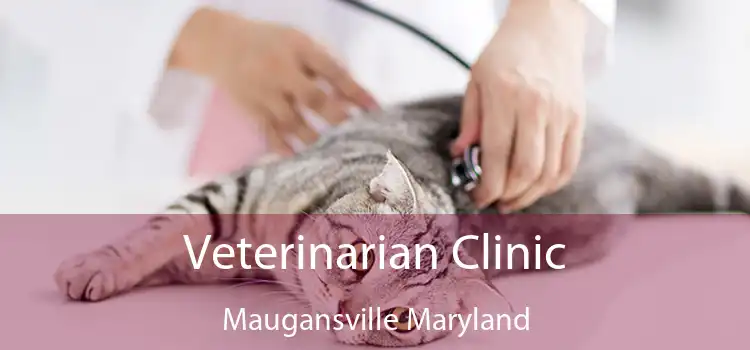 Veterinarian Clinic Maugansville Maryland