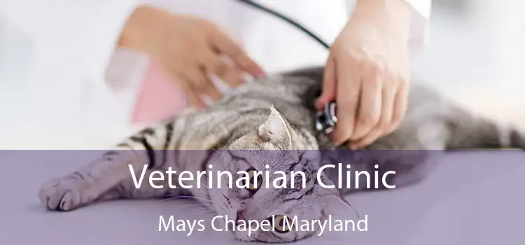 Veterinarian Clinic Mays Chapel Maryland