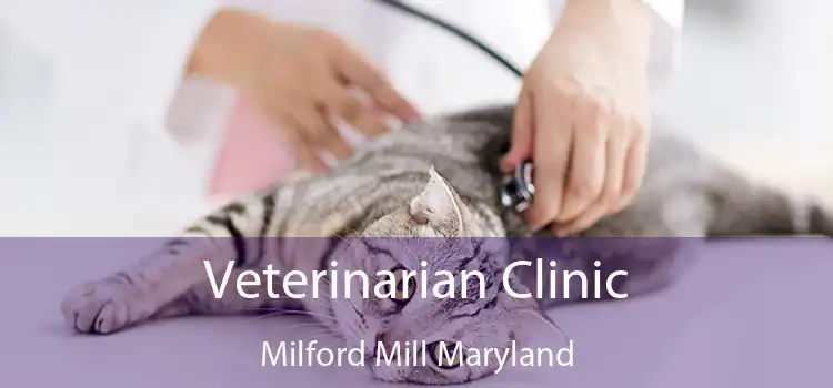 Veterinarian Clinic Milford Mill Maryland