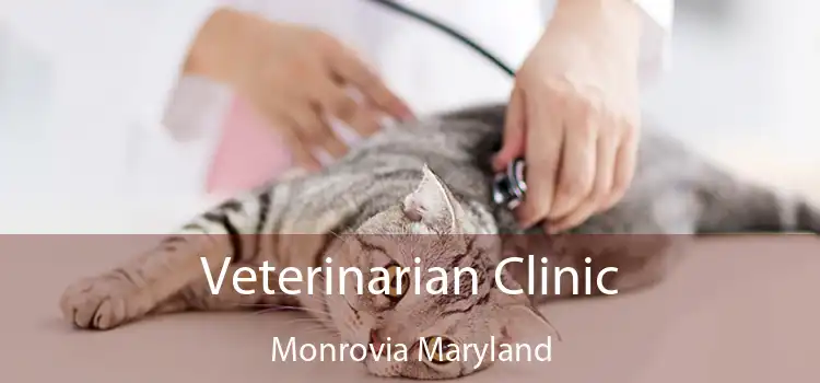 Veterinarian Clinic Monrovia Maryland