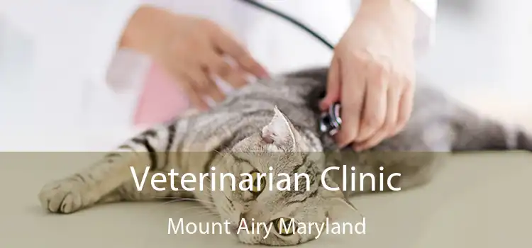 Veterinarian Clinic Mount Airy Maryland