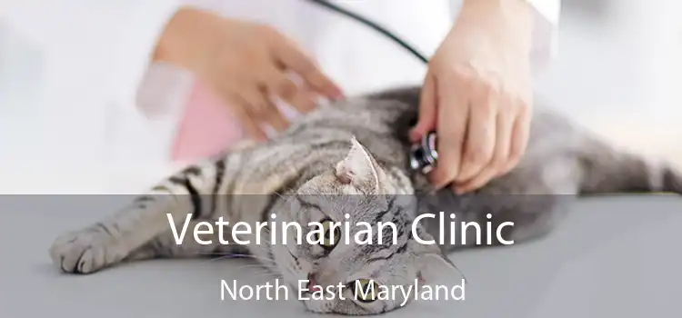 Veterinarian Clinic North East Maryland