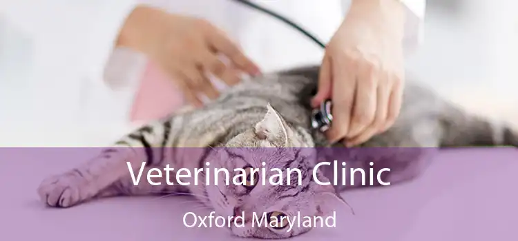 Veterinarian Clinic Oxford Maryland