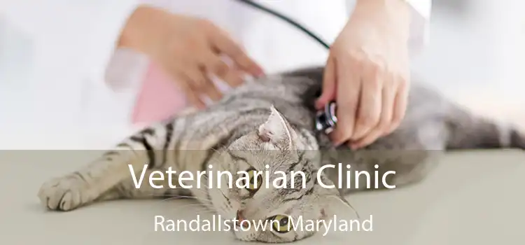 Veterinarian Clinic Randallstown Maryland