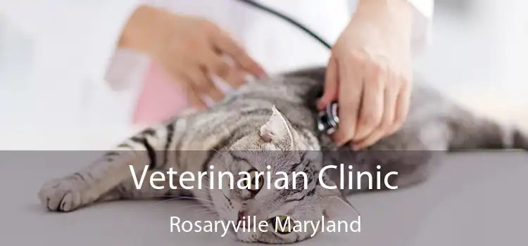 Veterinarian Clinic Rosaryville Maryland