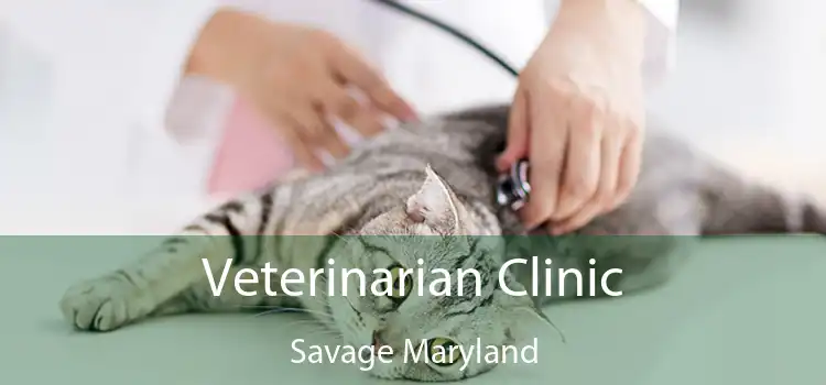 Veterinarian Clinic Savage Maryland