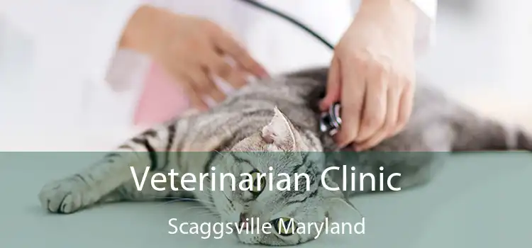 Veterinarian Clinic Scaggsville Maryland