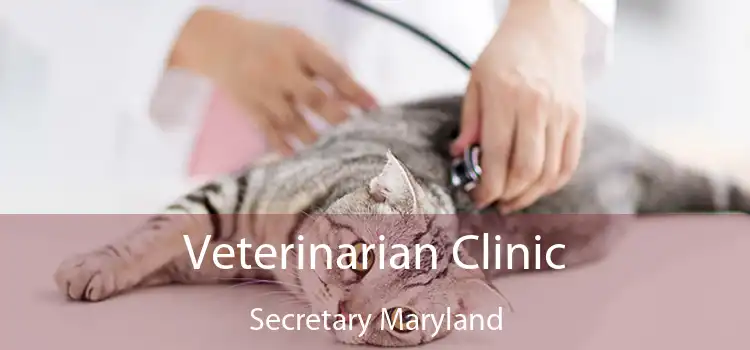 Veterinarian Clinic Secretary Maryland