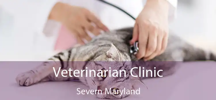 Veterinarian Clinic Severn Maryland