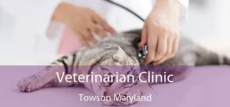 Veterinarian Clinic Towson Maryland