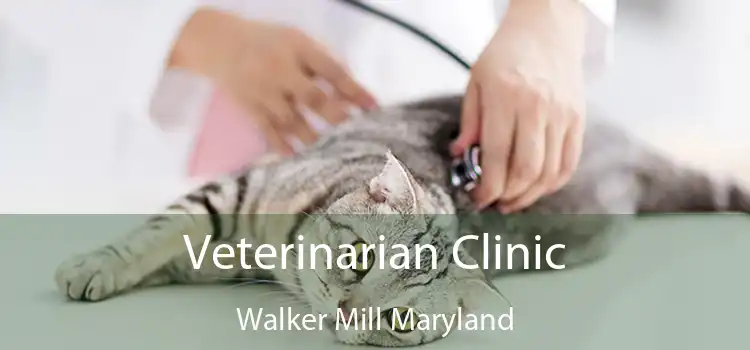 Veterinarian Clinic Walker Mill Maryland